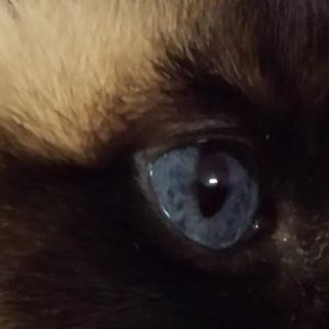 Meet your Posher, Facundo